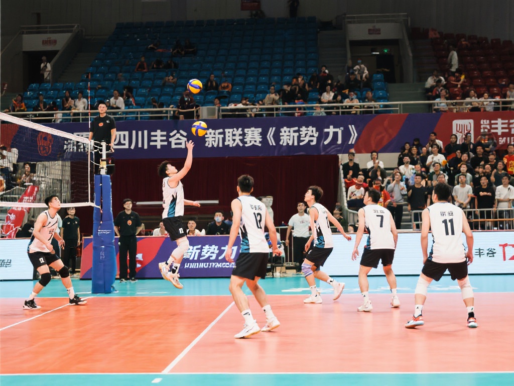 未来展望 未来展望